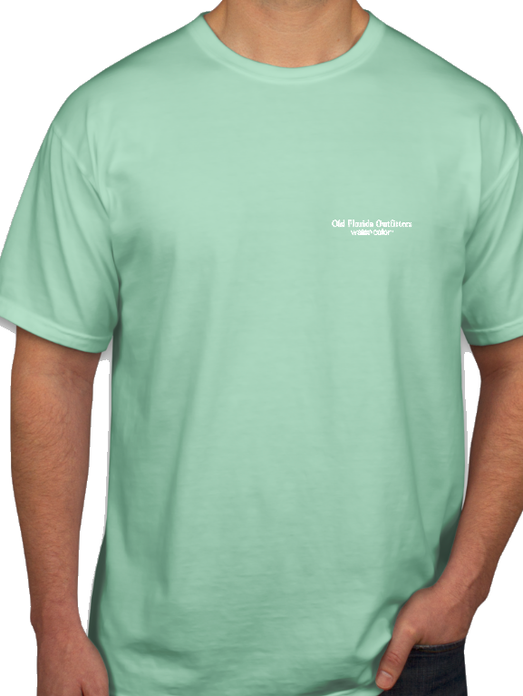 OFO Short Sleeve Pocket 30A Logo T-Shirt in Mint/White